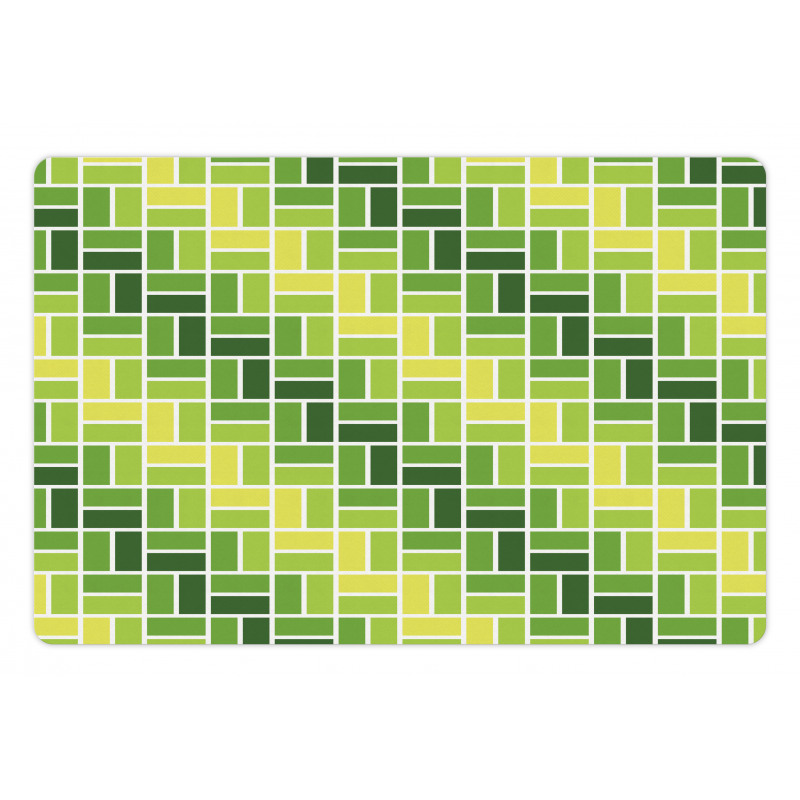 Diagonal Greenish Geometry Pet Mat