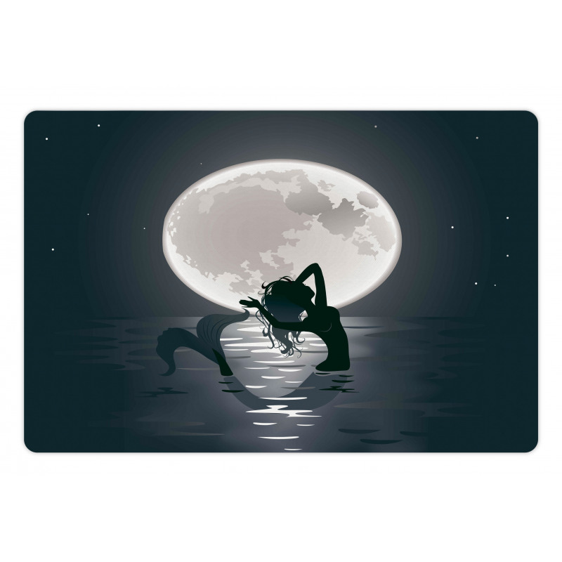 Mermaids at Night Pet Mat