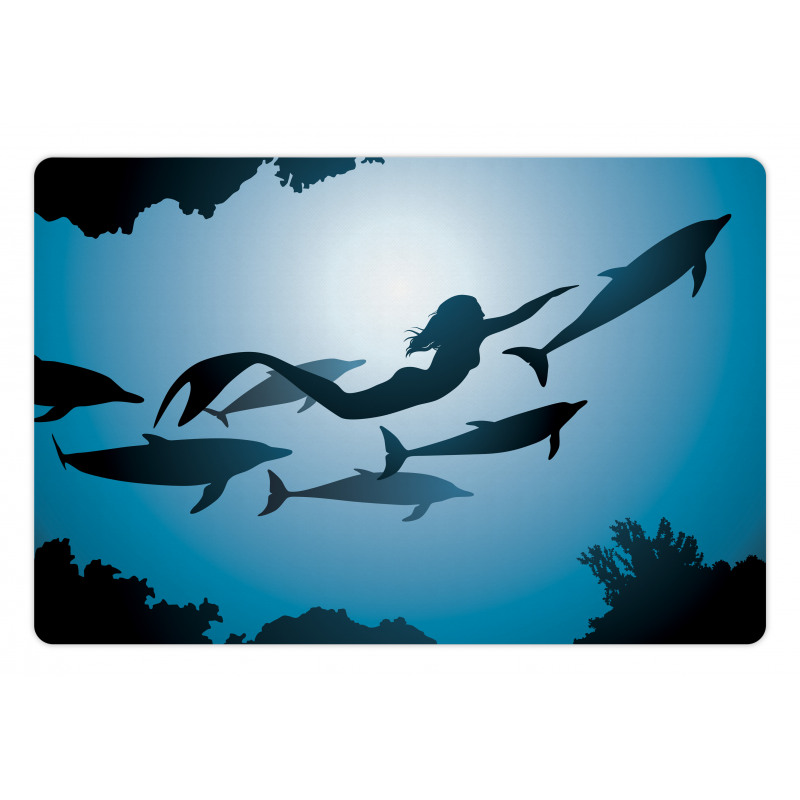 Mermaid and Dolphins Pet Mat