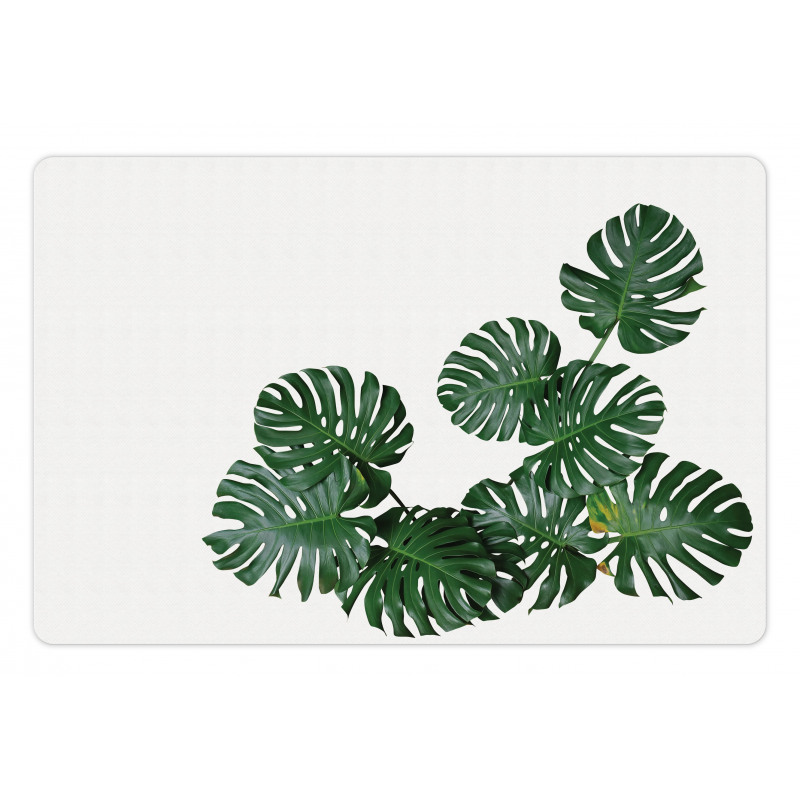 Monstera Deliciosa Pet Mat