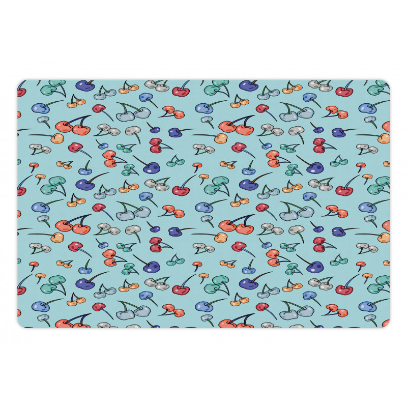 Summer Fruit Abstract Colors Pet Mat