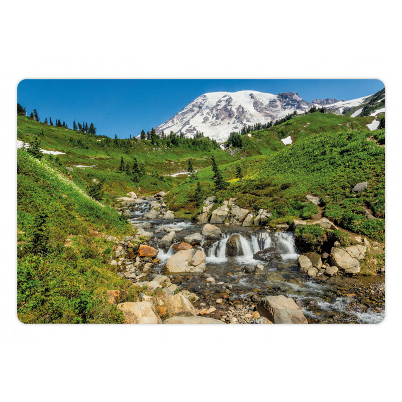 Edith Creek Mount Rainier Pet Mat