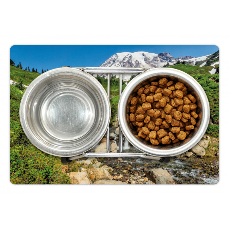 Edith Creek Mount Rainier Pet Mat