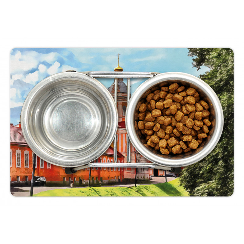 Landmark in St. Petersburgh Pet Mat