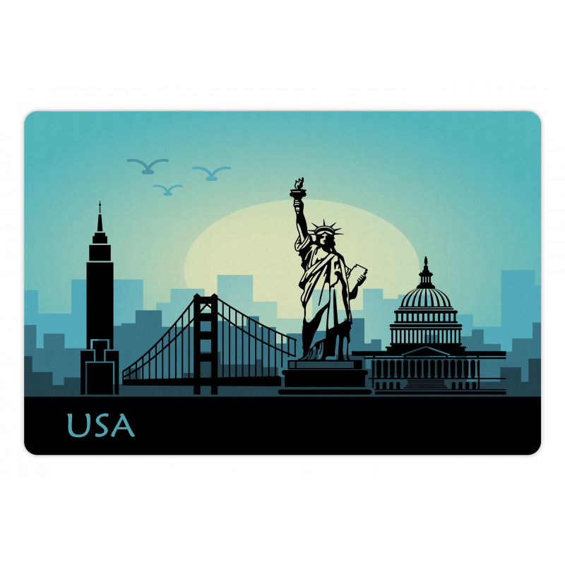 USA Skyscrapers City Skyline Pet Mat