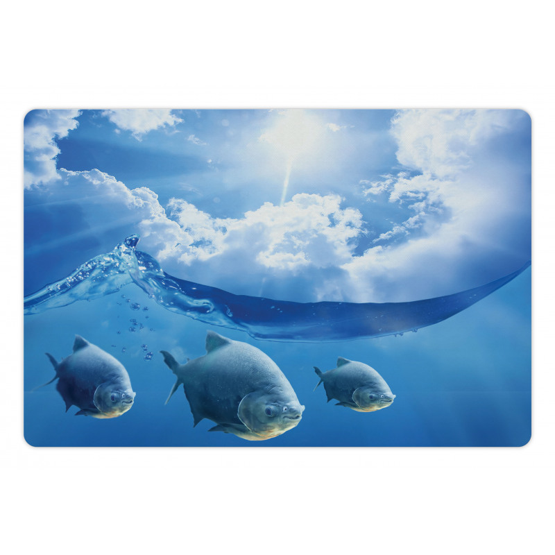 Fish Clouds and the Sun Pet Mat