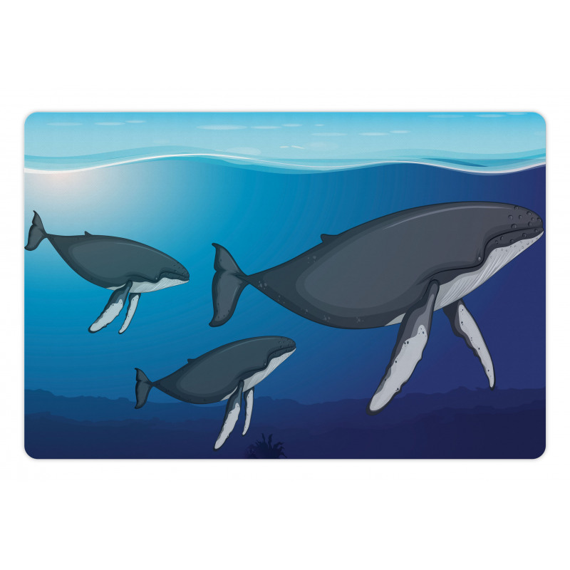 Swimming Whales Scenery Pet Mat