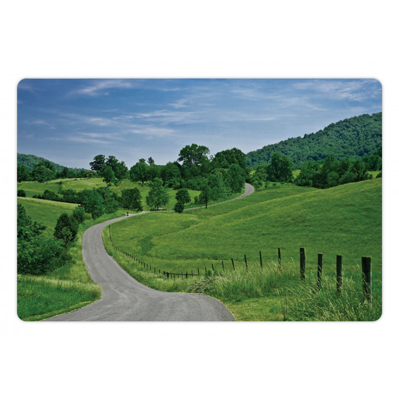 Idyllic Road Forest Pet Mat