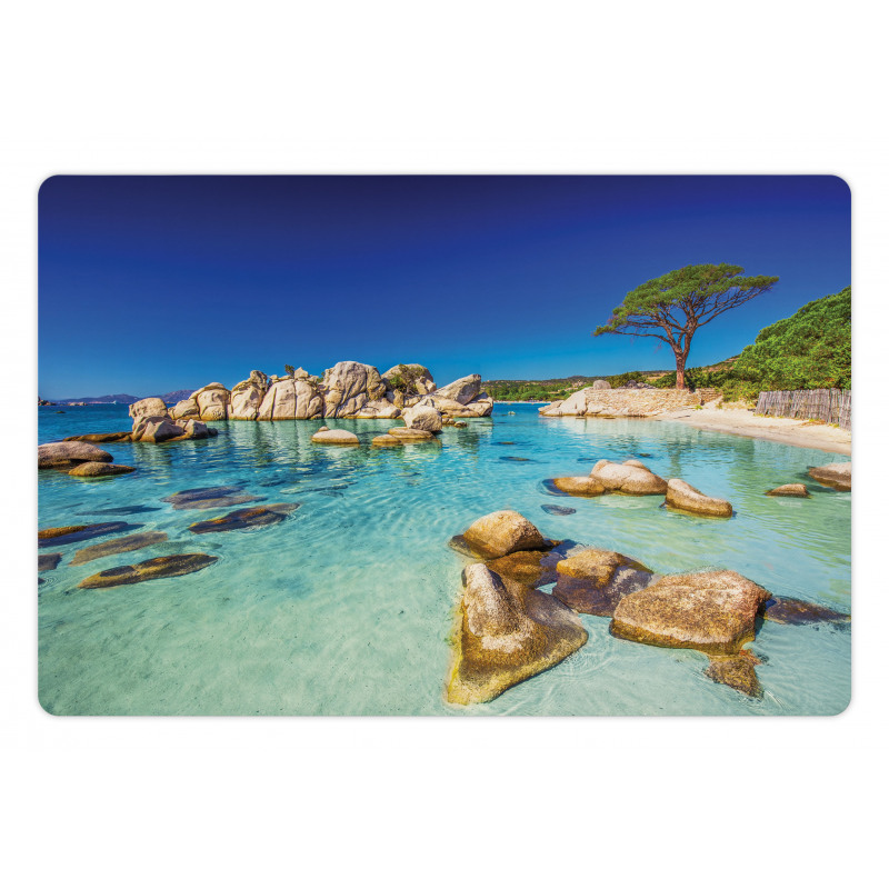 Beach and Clear Ocean Pet Mat