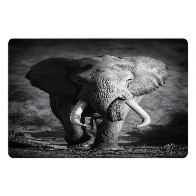 Exotic Wildlife Elephant Pet Mat