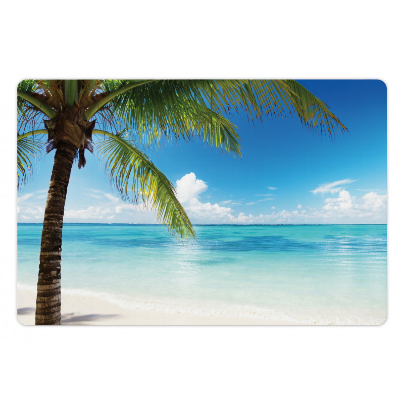 Exotic Beach Shoreline Pet Mat