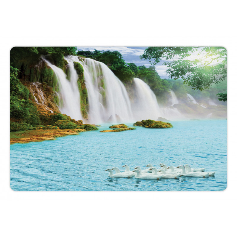 Lake and Swans Nature Pet Mat