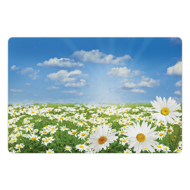 Daisy Spring Meadow Pet Mat