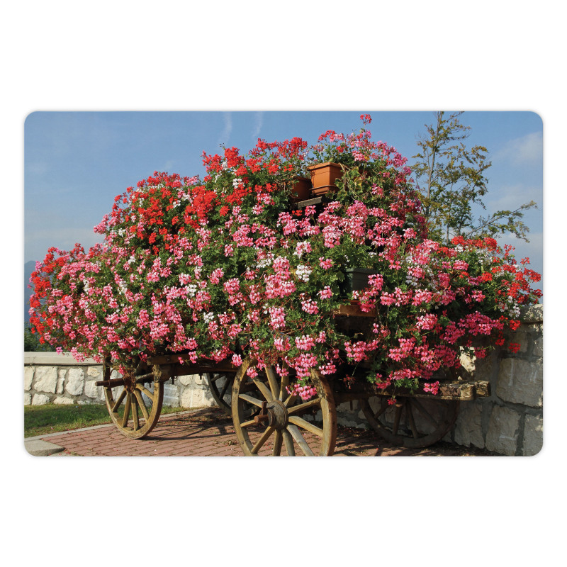 Old Wagon with Flowers Pet Mat