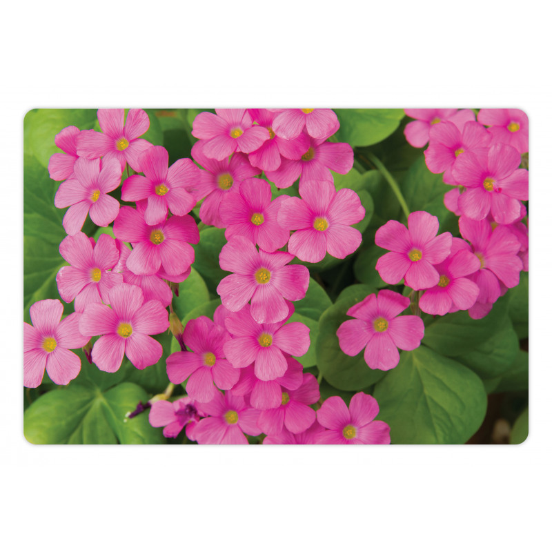 Pinkish Flower and Leaves Pet Mat