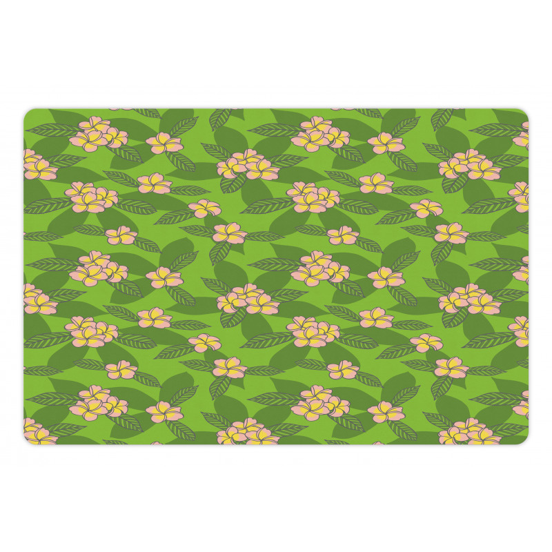 Frangipani Flowers Cartoon Pet Mat