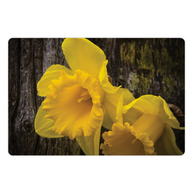 Image of Trumpet Daffodil Pet Mat