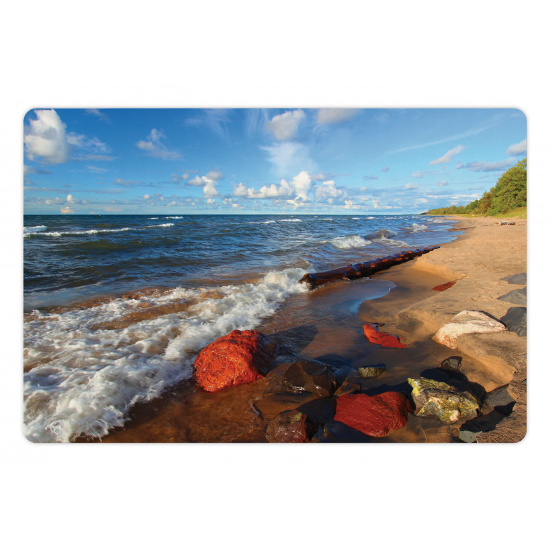 Beachy Summer Scenery Pet Mat