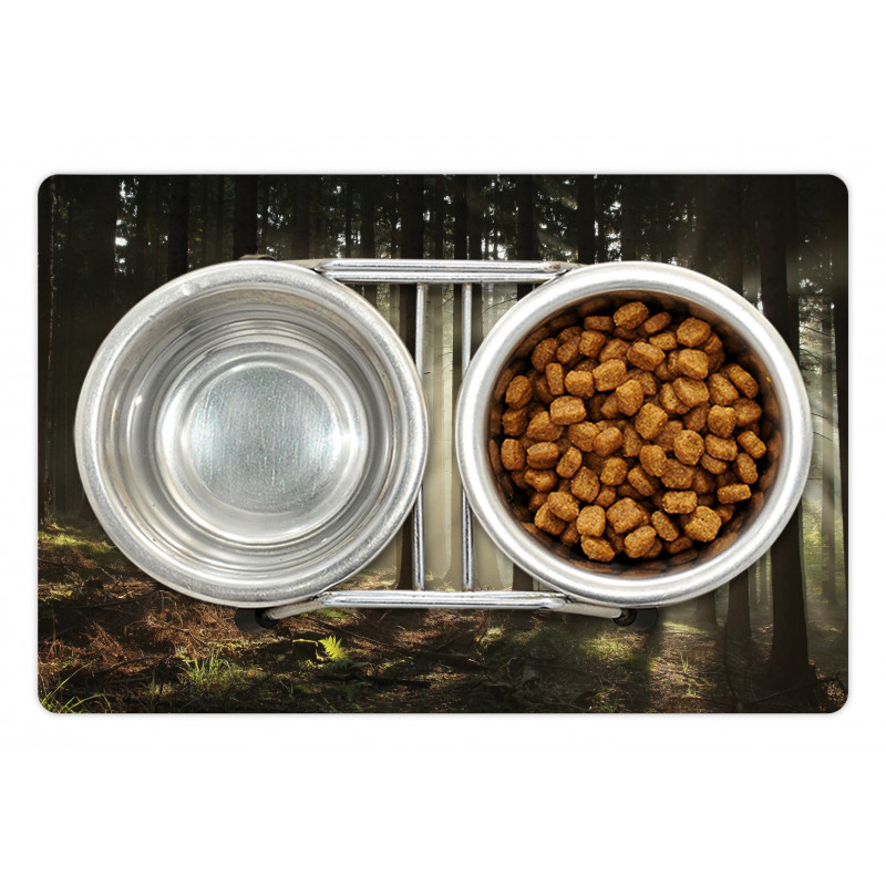 Morning Forest Scenery Pet Mat