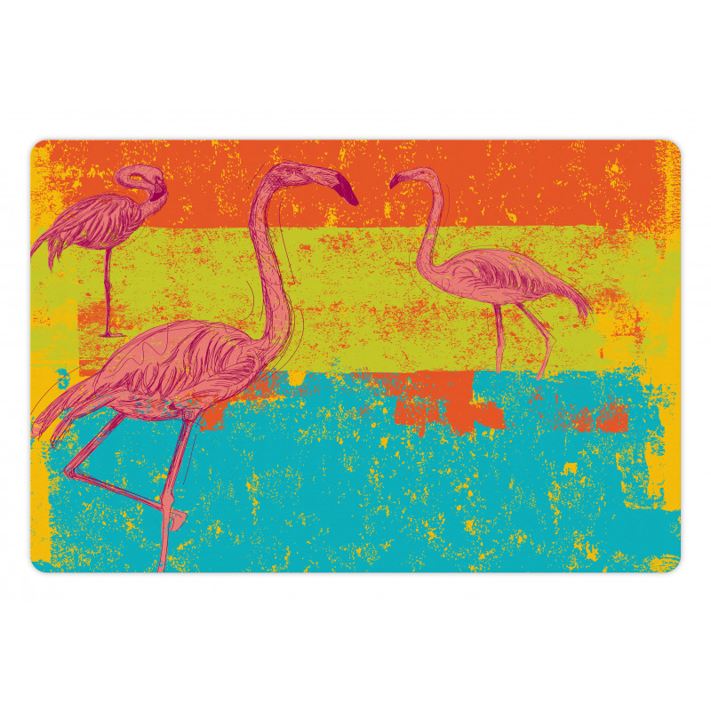 Retro Vintage Flamingo Pet Mat