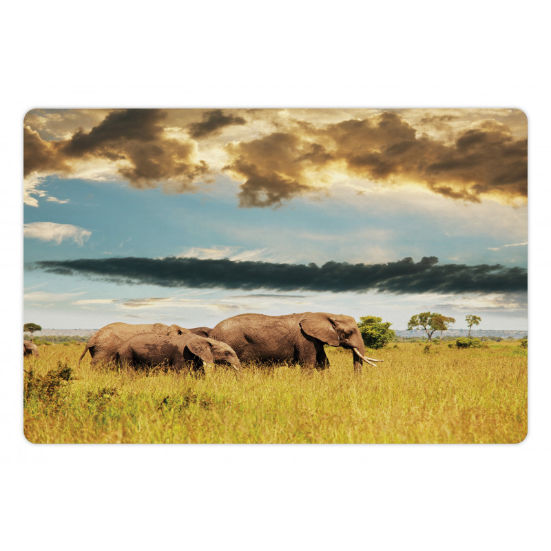 Elephant Family Photo Pet Mat