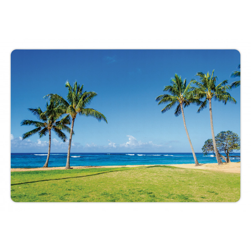 Coconut Palm Hawaii Pet Mat