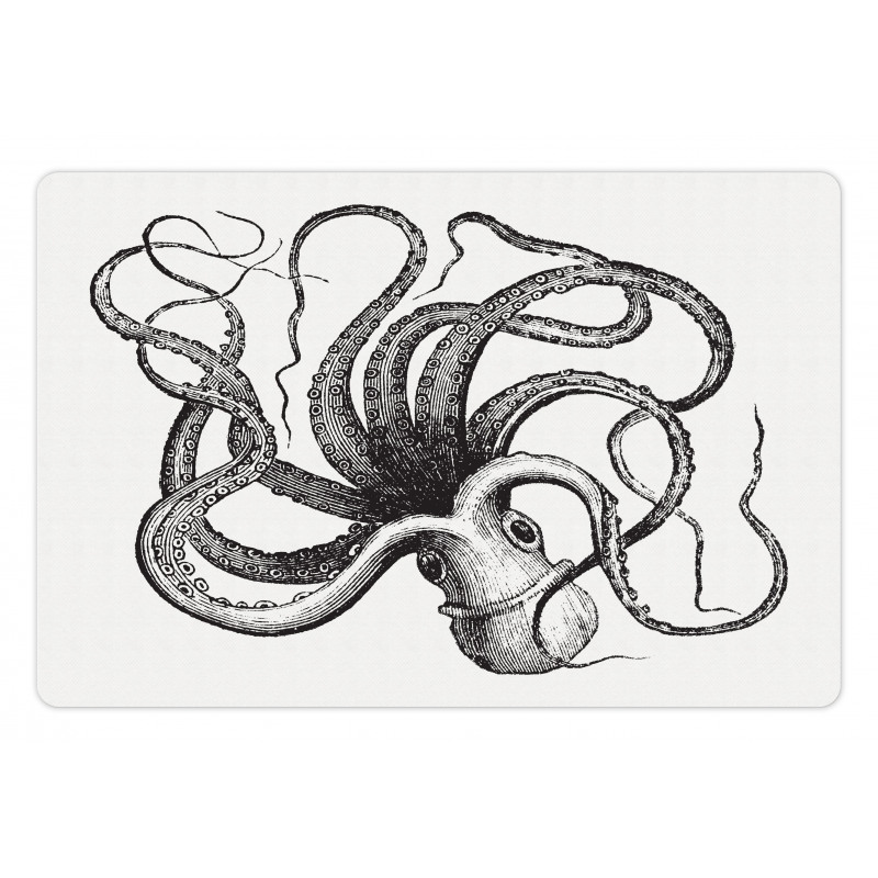 Engraved Sea Animal Image Pet Mat