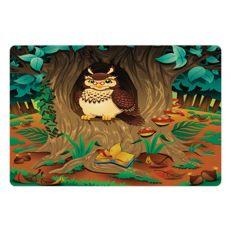 Nanny Grandma Sage Owl Pet Mat