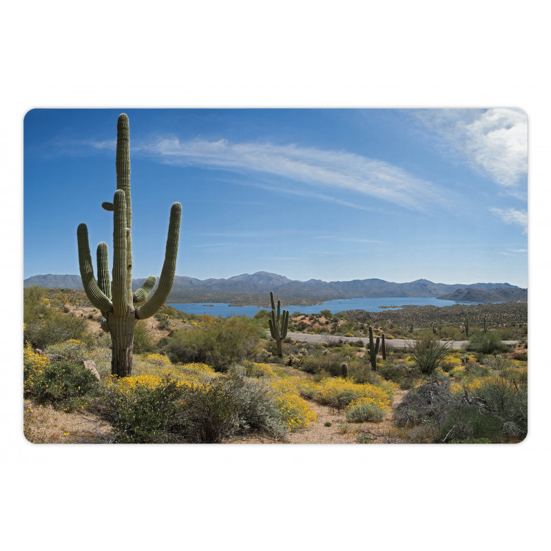 Cactus on the Valley Pet Mat