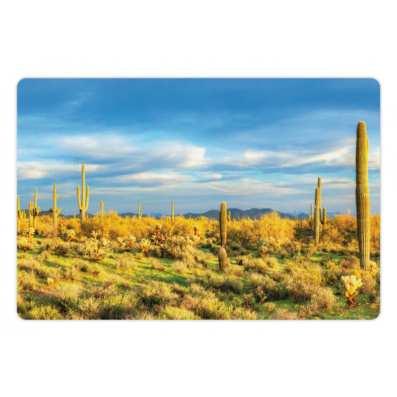 Western Cactus Spikes Pet Mat