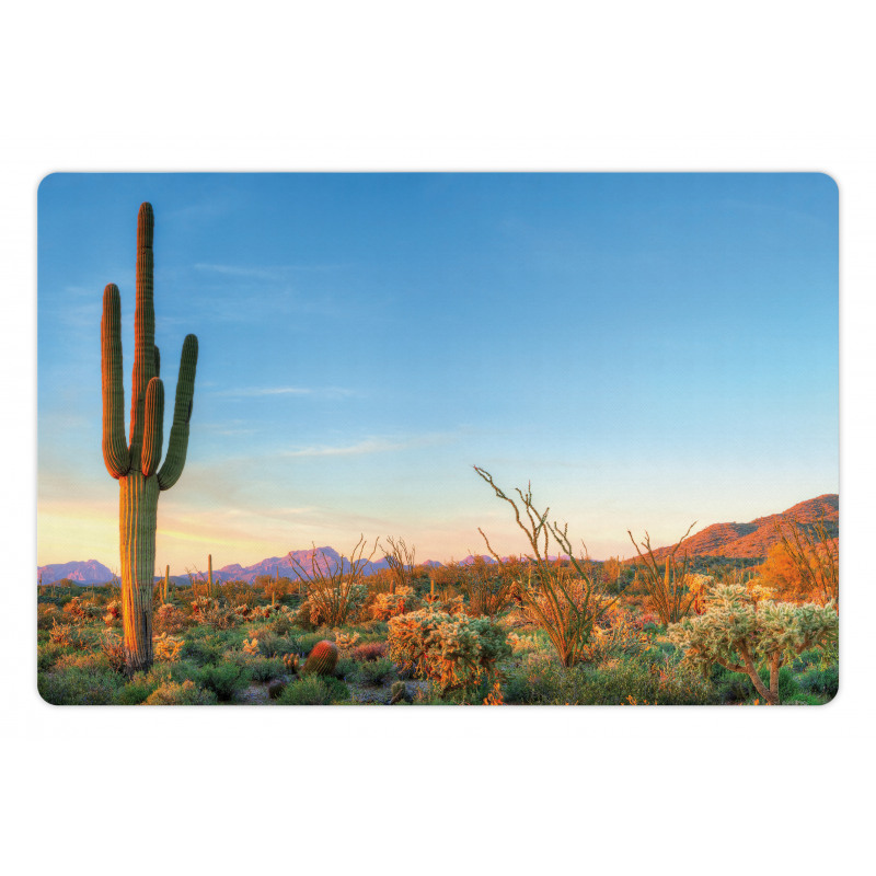 Sun in Desert Cactus Pet Mat