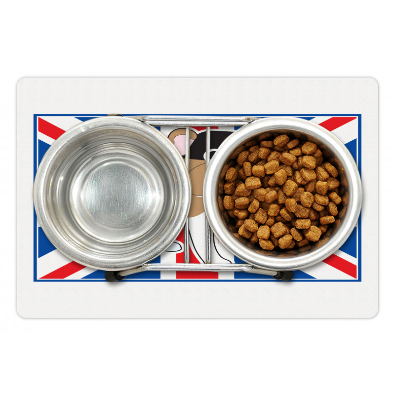 British Flag Illustration Pet Mat