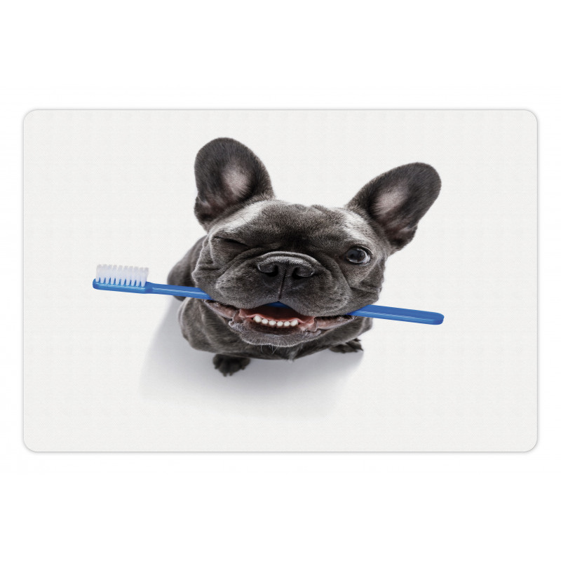 Funny Dog with Toothbrush Pet Mat