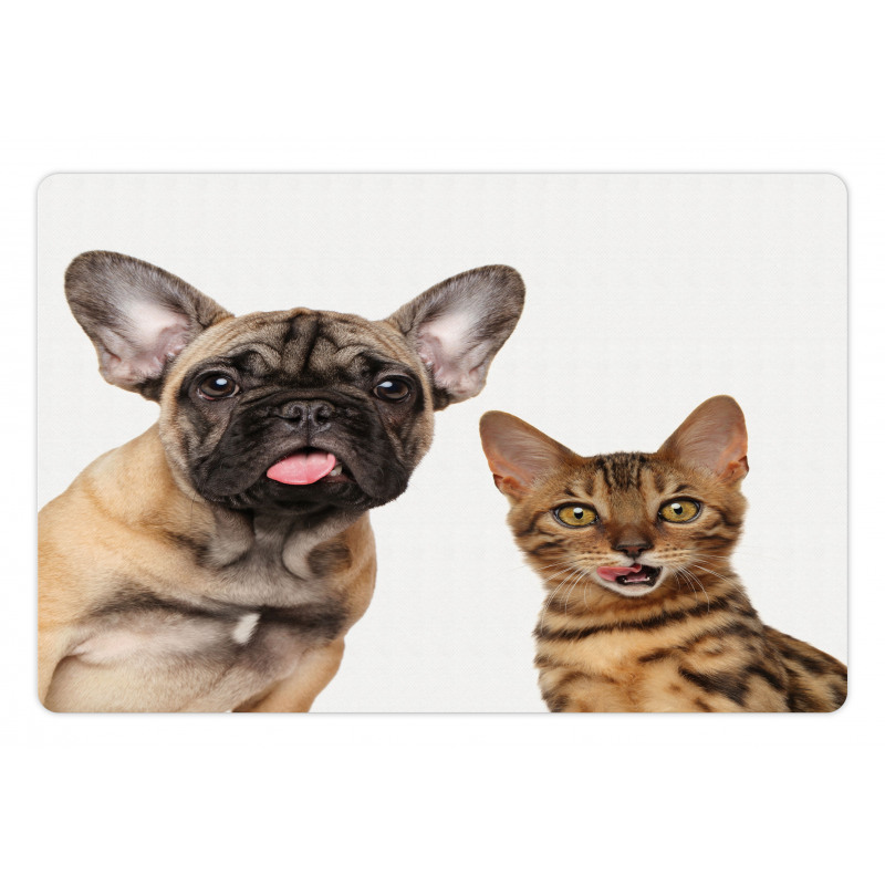 Cat and Dog Shocked Staring Pet Mat