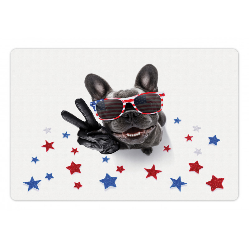 Top View Funny Dog Posing Pet Mat