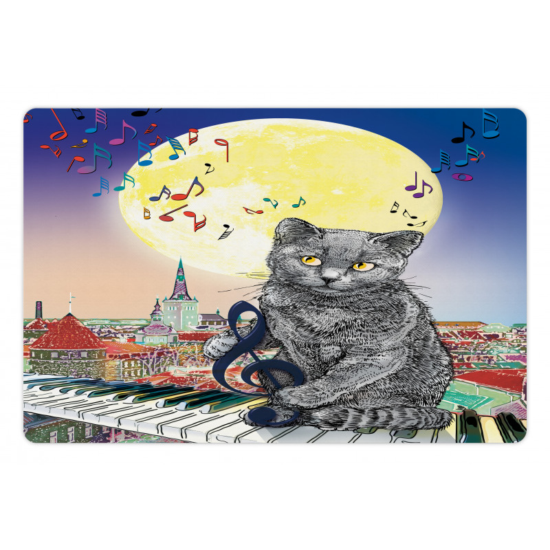 Musical Notes Cat Pet Mat