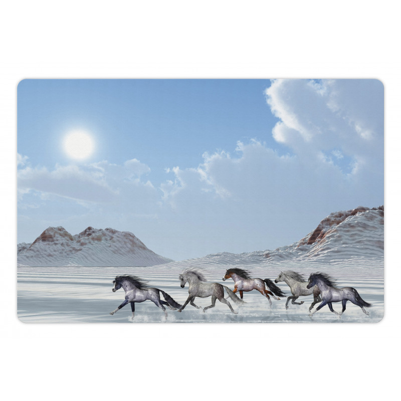 Snowy Day Wild Horse Pet Mat