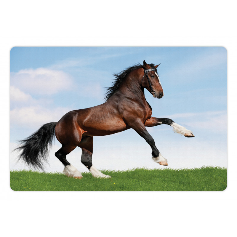 Horse Pacing on Grass Pet Mat