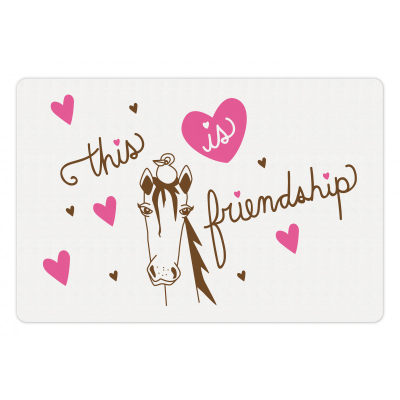 This is Friendship Horse Bird Pet Mat