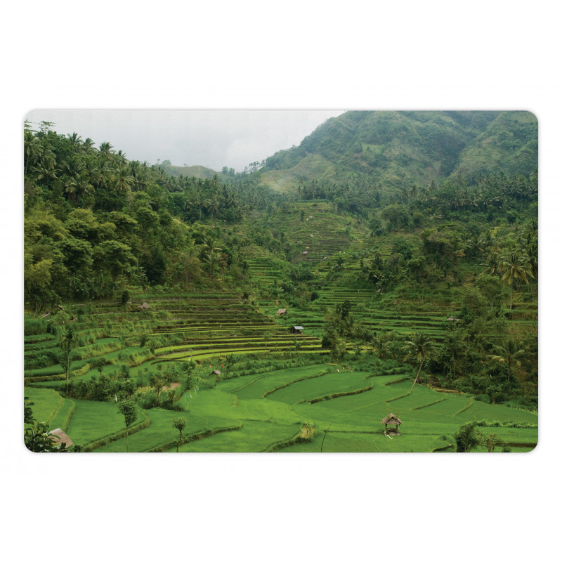 Rice Paddies Pet Mat