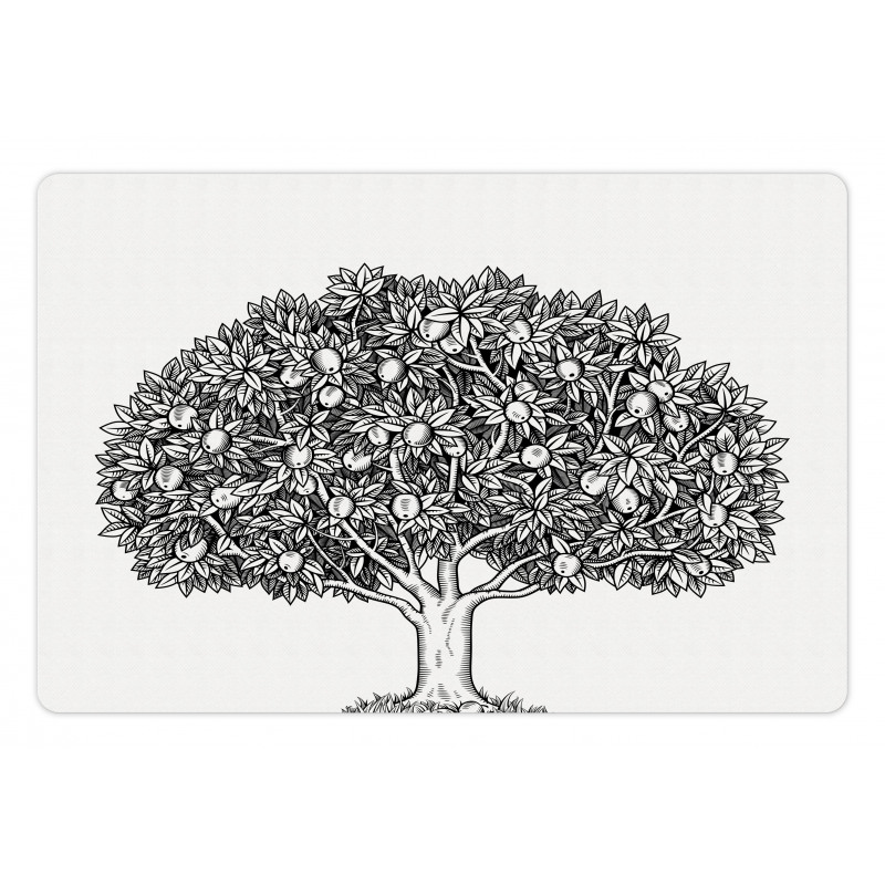 Engraved Style Apple Tree Pet Mat