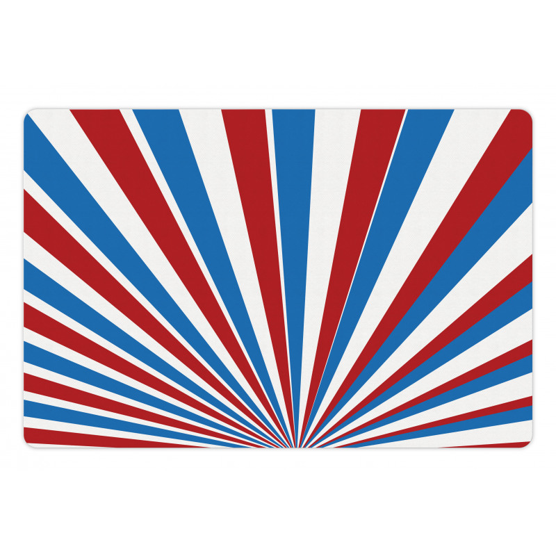 USA Flag Rays Circus Art Pet Mat