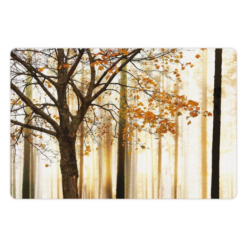 Bare Branches Fall Leaves Pet Mat