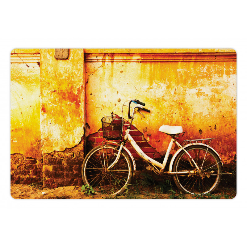 Bike Rusty Cracked Wall Pet Mat