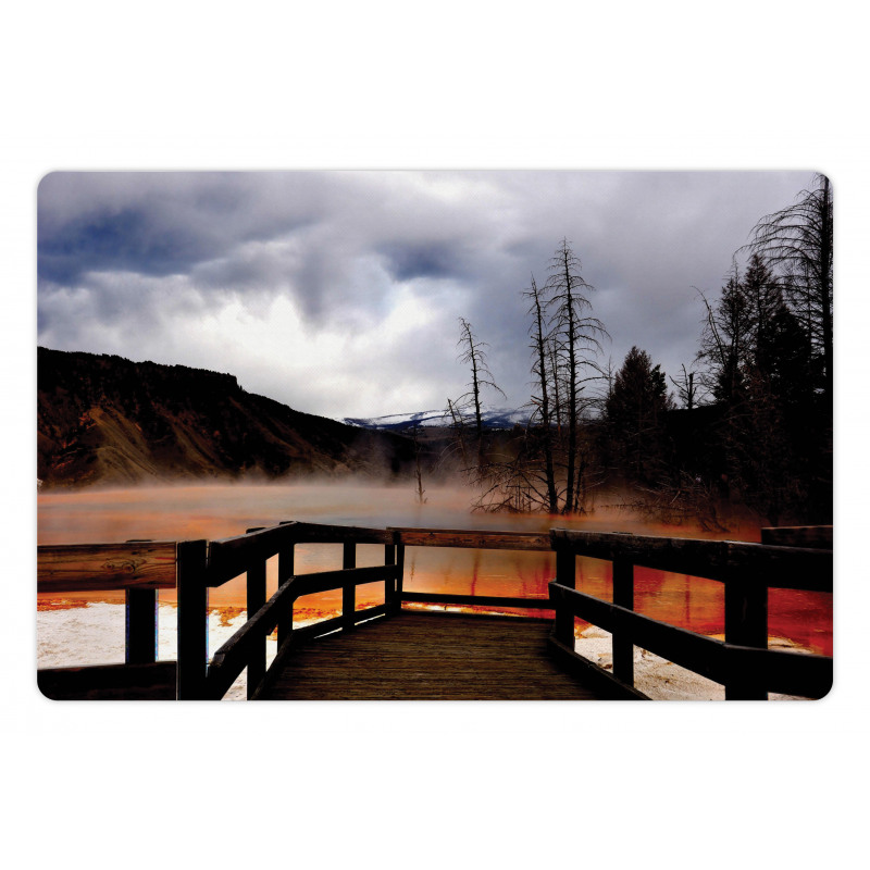 Hot Spring Scenery Pet Mat