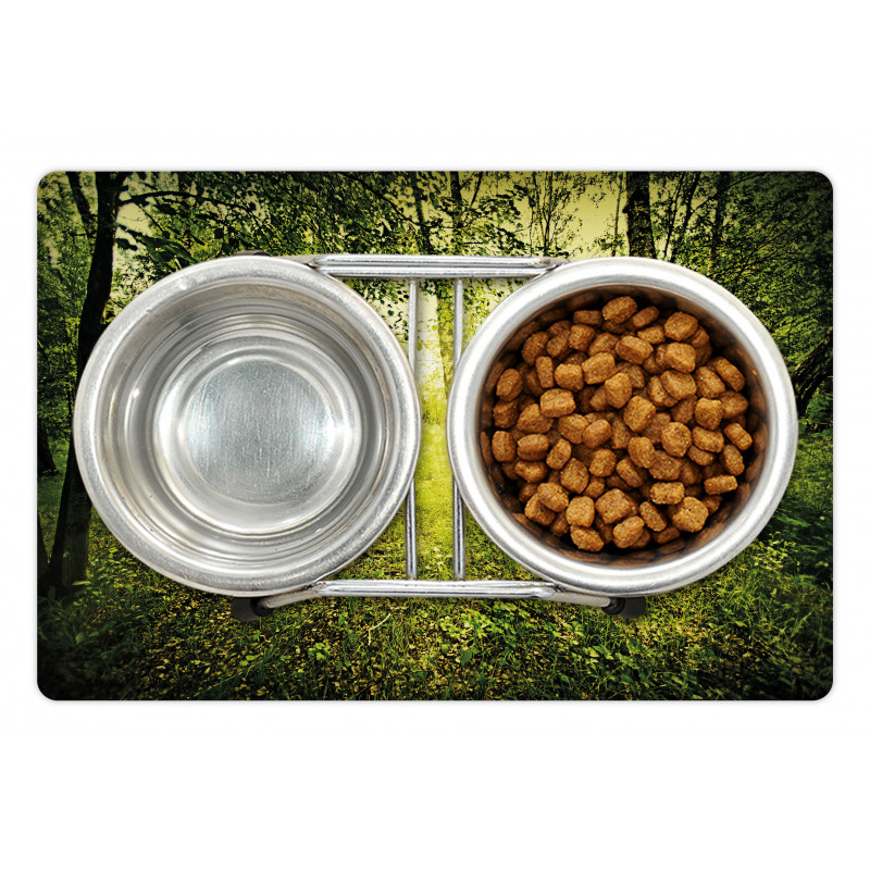 Scenic Morning in Nature Pet Mat