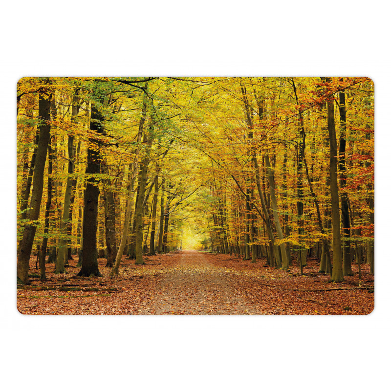 Pathway into the Forest Pet Mat