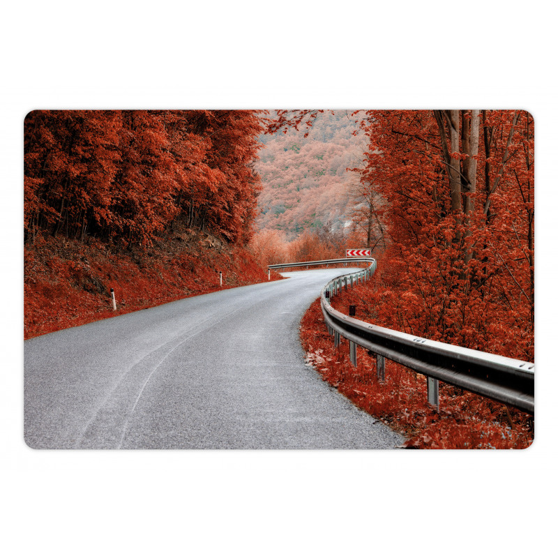 Dreamy Road Travel Theme Pet Mat