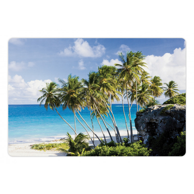 Ocean Exotic Beach Pet Mat