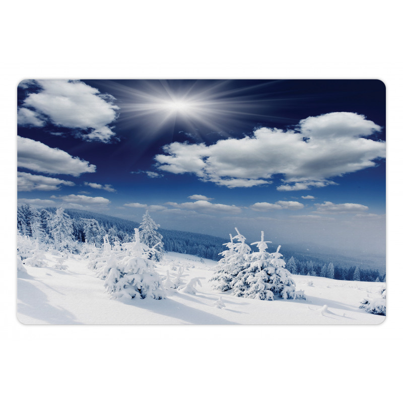 Snow Covered Trees Pet Mat
